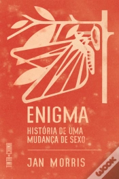 Capa do artigo Enigma
