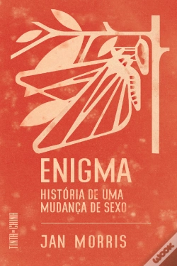 Capa do artigo Enigma