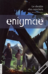 Enigmae.Com Tome 2 ; Le Destin Des Sorciers