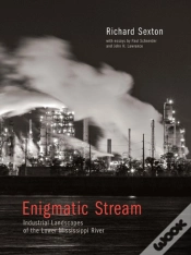Capa do artigo Enigmatic Stream