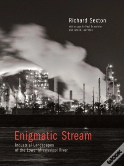 Capa do artigo Enigmatic Stream