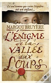 Enigme De La Vallee Aux Loups (Coll Romans)