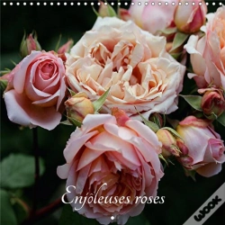 Capa do artigo Enjoleuses Roses Calendrier Mural 2018 300 300 Mm Square