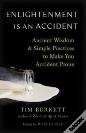 Capa do artigo Enlightenment Is An Accident