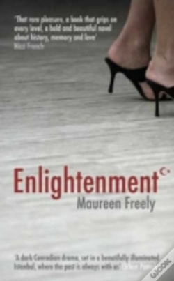 Capa do artigo Enlightenment