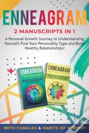 Capa do artigo Enneagram 2 Manuscripts In 1