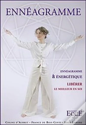 Capa do artigo Ennéagramme Et Énergétique ; Libérer Le Meilleur En Soi