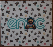 Capa do artigo ENOC - CD