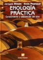 Enologia Practica Conocimiento Y Elaboracion Del - Preview