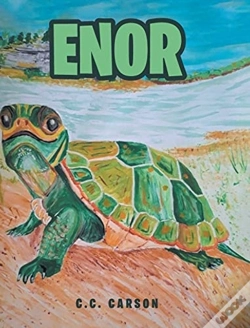 Capa do artigo Enor