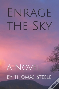 Capa do artigo Enrage The Sky