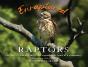 Enraptured By Raptors - Preview