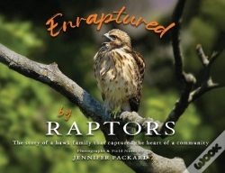 Capa do artigo Enraptured By Raptors