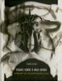 Ensaio Sobre o Anjo Denso - Preview