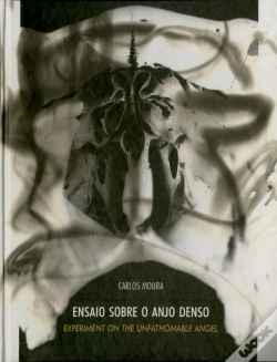 Capa do artigo Ensaio Sobre o Anjo Denso