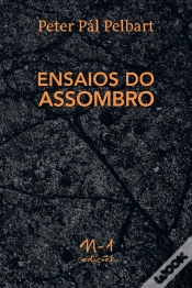 Capa do artigo Ensaios Do Assombro