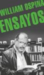 Ensayos - Preview