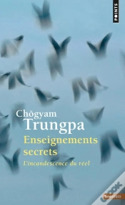 Capa do artigo Enseignements Secrets ; L