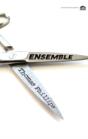 Ensemble - Preview