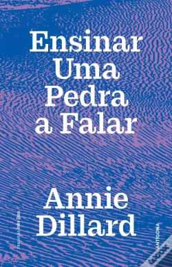 Capa do artigo Ensinar uma Pedra a Falar