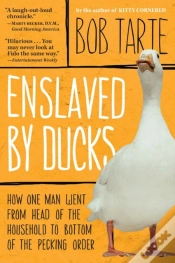 Capa do artigo Enslaved By Ducks