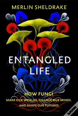 Capa do artigo Entangled Life