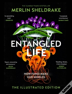 Capa do artigo Entangled Life (The Illustrated Edition)