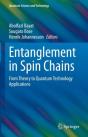 Entanglement In Spin Chains - Preview