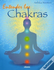Capa do artigo Entender Los Chakras