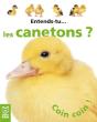 Entends Tu : Les Canetons - Preview