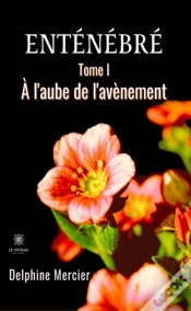 Capa do artigo Entenebre - Tome 1