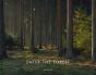 Enter The Forest - Preview