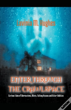 Capa do artigo Enter Through The Crawlspace