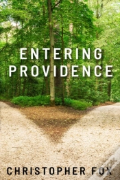 Capa do artigo Entering Providence