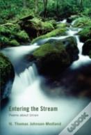 Entering The Stream