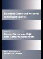 Enterprise Clusters And Networks In Developing Countries - Preview
