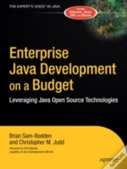 Capa do artigo Enterprise Java Development On A Budget