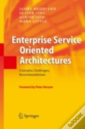 Enterprise Service Oriented Architectures