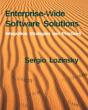 Enterprise-Wide Software Solutions - Preview