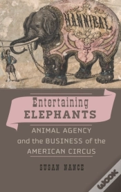Capa do artigo Entertaining Elephants