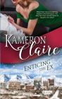 Enticing The Ex - Preview
