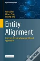 Entity Alignment