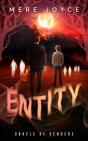 Entity - Preview