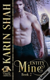 Capa do artigo Entity Mine