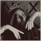 Capa do artigo Entity - Vinil