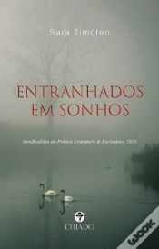 Capa do artigo Entranhados em Sonhos