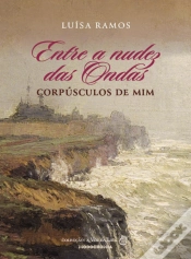 Capa do artigo Entre a Nudez das Ondas