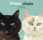 Entre Chats - Preview