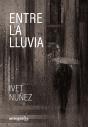 Entre La Lluvia - Preview