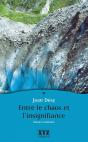Entre Le Chaos Et L'Insignifiance - Preview